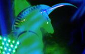Licorne réalisée par Serge Marie Aubry